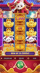 WIN88 · Fortune Rabbit